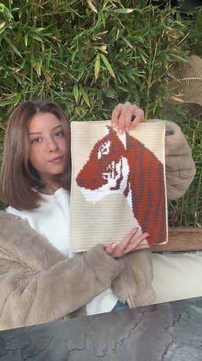 Easy to make DIY crochet ipad case 🐯🐯🐯 #crochet #crochetbags #crochetipadcase #crochetcase #crochettiktok #crochettok #crochetlove #crochettutorials #crochetlover #crocheted #crochetpattern #crocheter #crochetvideo #crochetvlog #crochet2023 #crochettrend #crochetideas #crochethobby #crochetbaglover #patterns #patterndesign #patternmaking #patternmaker #handmade #handmadegifts #handmadecase ##handmadelove #handmadecrochet #knitting #knittingtutorial #knitter #yarn #yarntok #yarnlovers #yarnlov