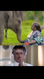 164K views · 5K reactions | The Elephant Whisperers  #elephant #love #towards #mom | Vesaduayyasoapu | Facebook