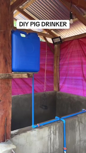 DIY Pig Drinker: Create Homemade Waterers for Pigs