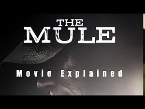 The Mule Full Movie Explained