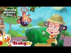 Giraffe  | Animal Videos For Kids | Wild Animals | Full Episode @BabyTV - Videos For Kids