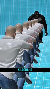 2.3K views · 18 reactions | How Strong Is a Gorilla? | 3D Strength Comparison #information #fypシ゚viralシfypシ゚ #info #informacion #fypシ゚viralシfypシ゚viralシalシ #fypシ゚viralシ | Know Why | Facebook