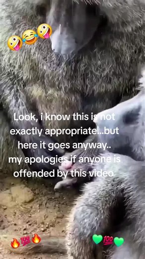 💚JAY DEE💚 (@jd_1_london)’s videos with The Jungle Book: The Bare Necessities - Geek Music