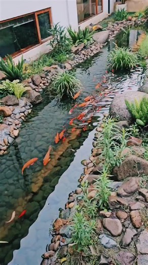 ‏Nature vibes 🧡🐟 #tikwildlife #nature #viralvideo #fy