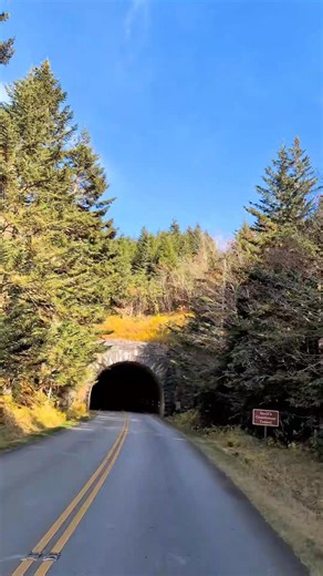 The high elevations showed off this weekend. Now it’s time for the lower trails and valleys to steal the spotlight. It's a great time to Find Yourself In Brevard. 🍂 Plan your trip today at ExploreBrevard.com. | Explore Brevard