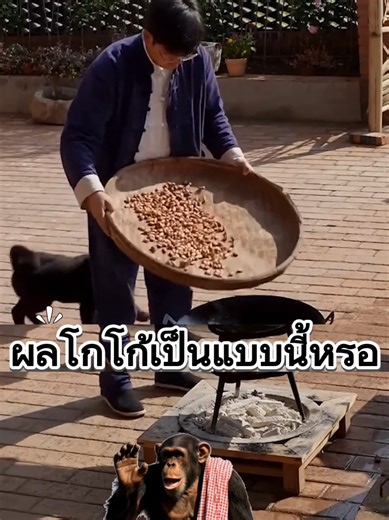 ผลโกโก้เป็นแบบนี้เองหรอ #ฟีดดดシ #เรื่องเล่า #สาระความรู้ #tiktokuni #สาระ