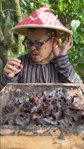ASMR Drinking Wild Stingless Bee Honey Pots - 31 🍯🐝 #shorts