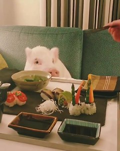 The only way to have a pig for dinner...is to invite him over for vegan sushi 🐷💗 | Vegan Eaternity