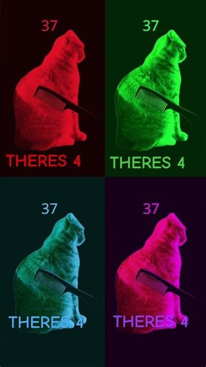 THERES 4 #funny #everybodywantstobemyenemy #helpmemakethismakesense #memes