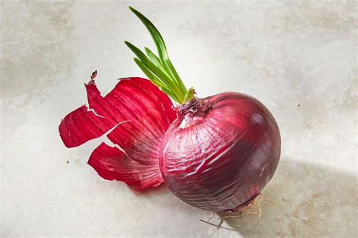 Can You Eat Sprouted Onions?