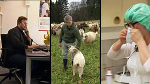 The importance of sunlight