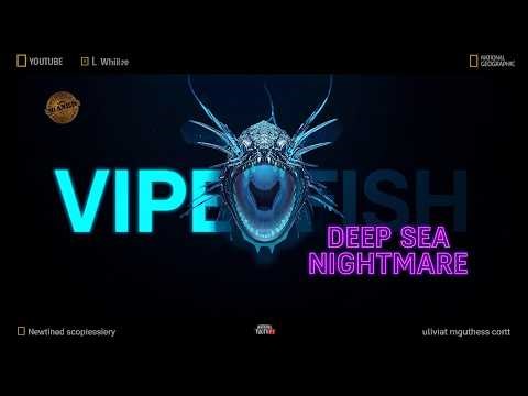 Viperfish: The Deep-Sea Predator Built to Bite the Impossible