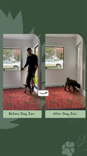 Our members are seeing real results every day, and I couldn’t be more proud.  Positive changes, happy pups, and a supportive community await. Sign up for my Virtual Training School and let’s work together to raise your dog right! Cancel anytime! | Mark Vette - Animal Behaviourist | Facebook