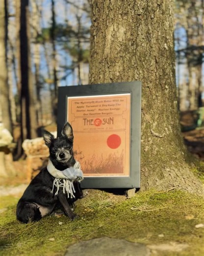 Ad-free magazine that uses words photographs to invoke the splendor and heartache of being human. | The Sun Magazine