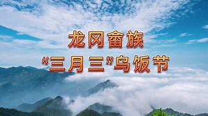 龙冈畲族“三月三”乌饭节