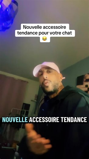 Accessoire Tendance Pour Votre Chat : Un Must-Have !