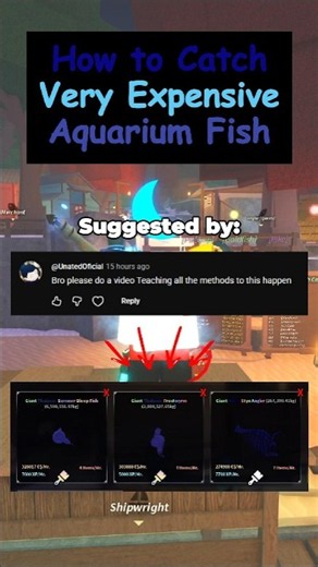 How To Catch Aquarium Fish Like K3vin #fisch