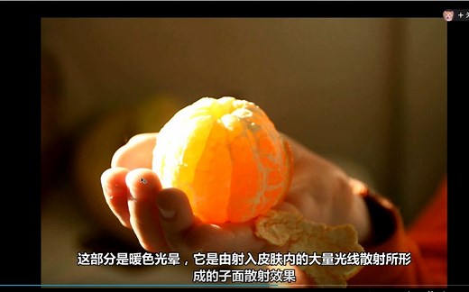 光影色彩理论 中文字幕 (强烈推荐)