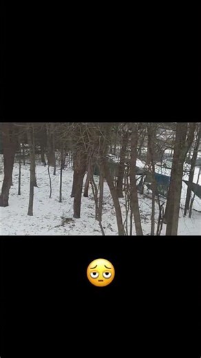 This is what we were all scared about 🥀🥀 #snow #snowstorm #snow #snowfall #roblox