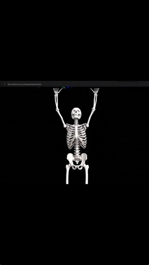 🎇 Amazing Fireworks Animation Using HTML Canvas #coding