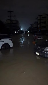 HatYai PetShipping on Reels