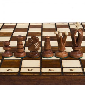 Best Chess sets (post yours) - Chess Forums