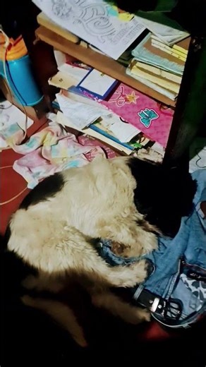 18 de febrero de 2026