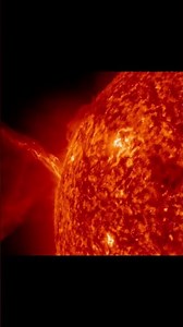 Our solar system review: One star—yet it outshines them all.