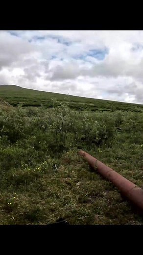 430K views · 6.1K reactions | Secret Gold Mine & Evidence EVERYWHERE! #found #metaldetecting #treasurehunting #treasurehunter #treasurehunt #discoveries #unkownobject #outdoorlife #outdooradventures #fishing #outdoors #dirtfishing #finding #relichunting #coolfinds #found #metaldetection #metaldetector #treasurehunters #weirdfinds #magnetfishing #magnet #magnetfishinguk #magnetfishingfinds #magnetfishingusa | Depths of History | Facebook