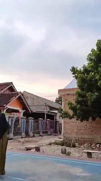 remote control bird toy #rcbird #birdremotecontrol