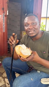BEWARE OF THIS, NEVER EAT COCONUT WHEN YOU SEE THIS | Albert Kwasi Avor