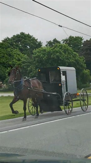 🇺🇸 The Amish way is nothing like modern life | Pennsylvania Amish Country #shorts