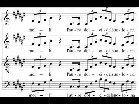 Verdi - Nabucco - Va pensiero - Santa Cecilia Choir and Orchestra