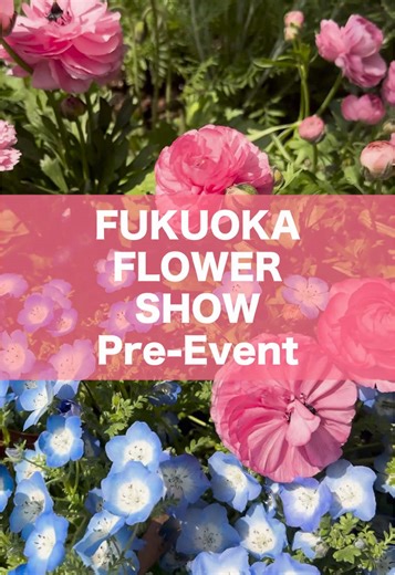 色とりどりのお花がたくさん🌼 幸せな気持ちになったよ🥰#FUKUOKAFLOWERSHOW #福岡市 #植物園 #お花畑 #fukuoka #春コーデ #おすすめ #fyp