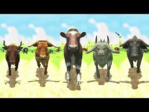 All Bovidae Animals Speed Races | Buffalo, Cow, Cattle