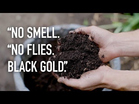 How I Make My Compost No Smell, No Flies, Just Black Gold