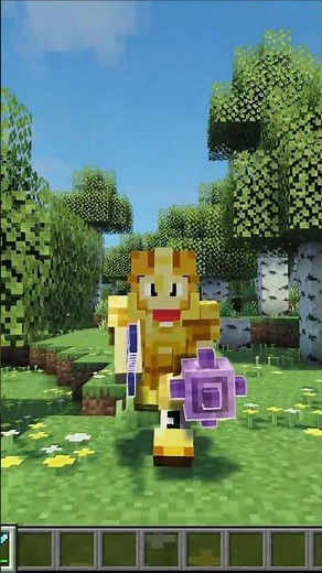 These packs improve your Gear and Player Animation.
