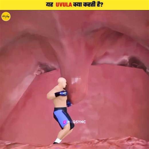 What does the uvula do? #shorts