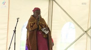 Motlokoa wa Tsotetsi ka sebele