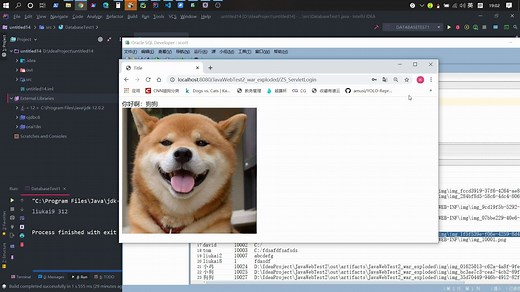 【JAVA WEB 入门】用户注册登录小案例