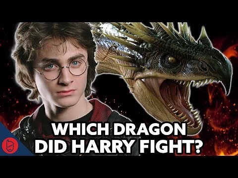 J vs Ben: ULTIMATE Tri-Wizard Task Harry Potter TRIVIA Quiz