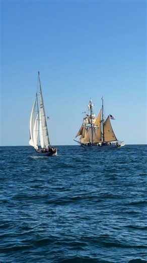 ⛵ Such an amazing time at the Maritime Festival today! Watching the tall ships in action off Dana Point was like stepping back in time ⚓✨ What a spectacular sight on the water! #DanaWharf #MaritimeFestival #TallShips #DanaPoint #OceanAdventures #SoCalEvents 🎥 @oceanluvr4ever | Dana Wharf Whale Watch