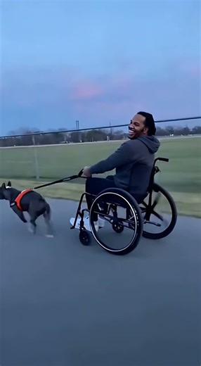 Hilarious Dog Fails Compilation: Slips, Drifts & Mud Belly Flops