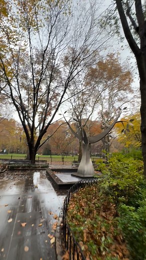 Saturday Morning Run. | Michael Datcher