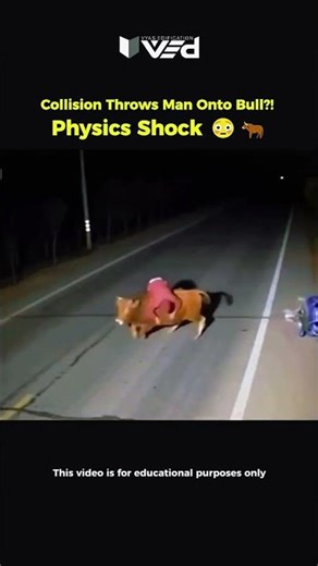 Man Thrown Onto Bull?! 🤯 Crazy Collision Physics 🐂 #shorts