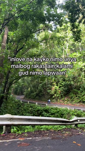 Exploring the Beauty of Bilar Man-Made Forest in Bohol