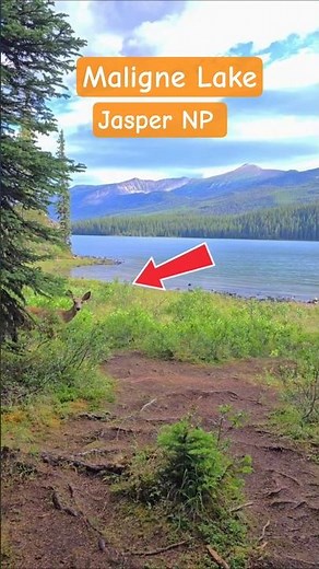 Maligne Lake & Moose Lake Loop, Jasper National Park, Canada