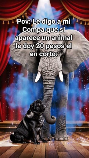 literalmente mi bro