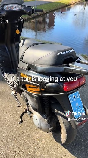 T. Rex: Binocular Vision and Behavior Explained