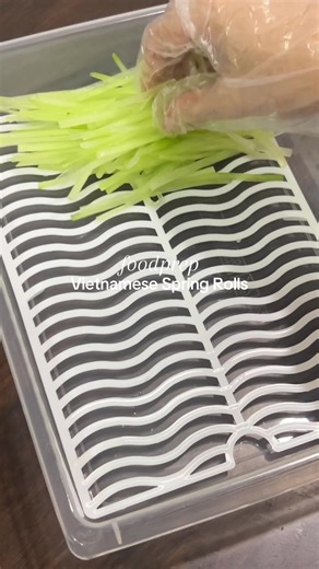Homemade Vietnamese Spring Rolls Meal Prep Guide